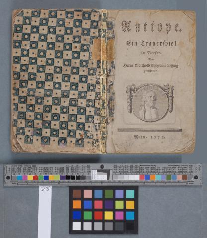 Blue block-printed paper, with paste colours, used as cover