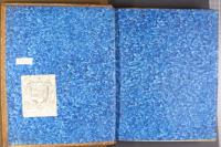 Blue brush-patterned paste paper, left endleaf [full opening] (F.7.5)